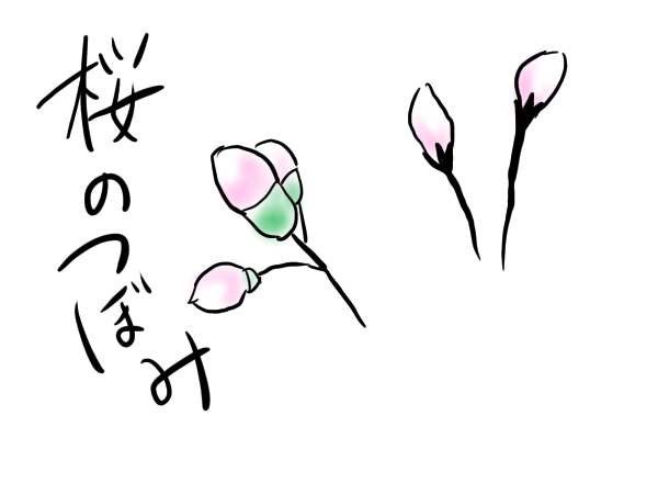 桜　イラスト　書き方　手書き　簡単