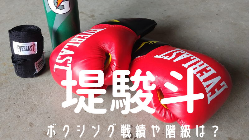 堤駿斗　戦績　階級　ボクシング