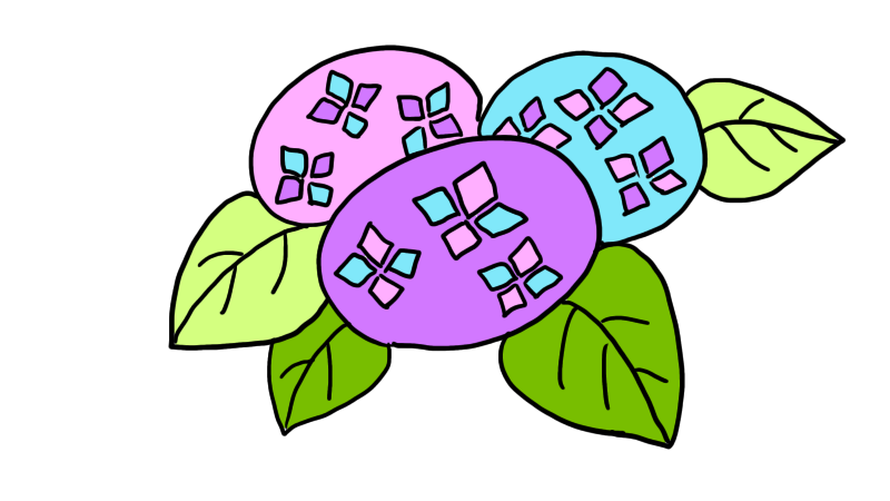 紫陽花のイラストの書き方 手書きで簡単に描ける方法は せんろぐ情報